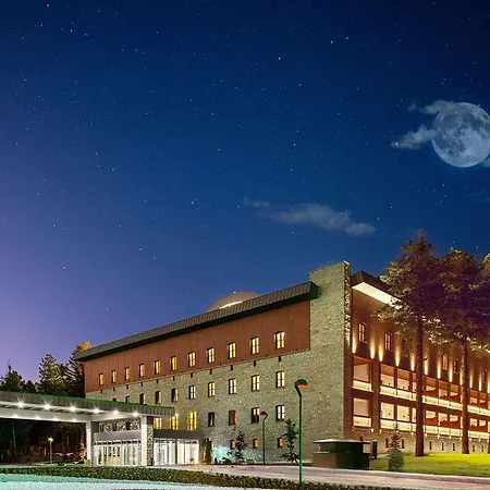 Hotel Swissotel Uludag Bursa