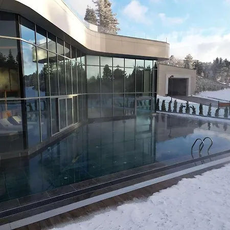 Hotel Swissotel Uludag