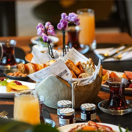 מלון Swissotel Uludag *